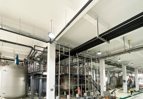 免疫細胞缺陷或可加速3倍衰老 西班牙科學(xué)家揭示衰老新機制